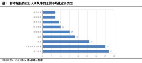 弱資質城投公司深度剖析 哪些業務特征值得被重視